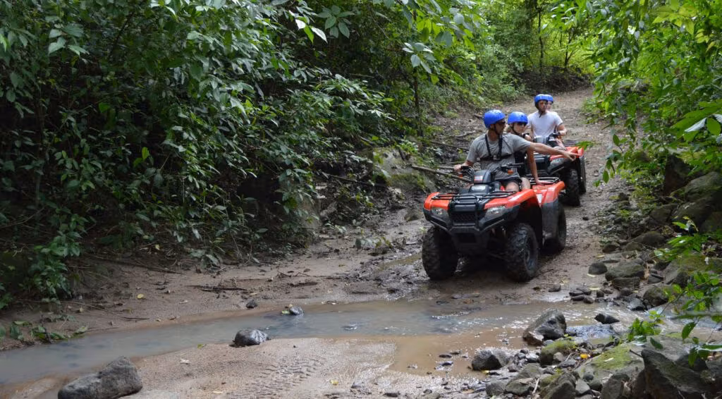 Rainforest mountain trail near Manuel Antonio